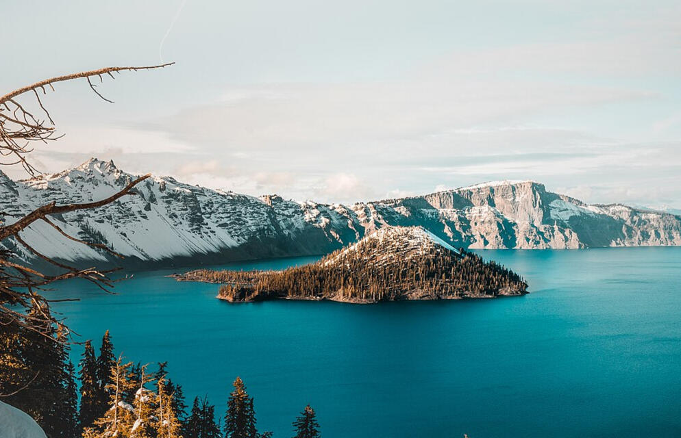 Logo for Jason's Plugins For Carrd